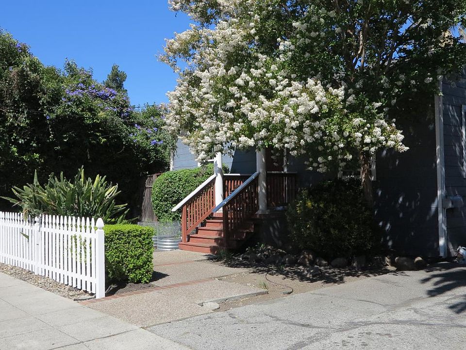 The front of 310 Oak Ave from the sidewalk, a white picket fence in the foreground and a crepe myrtle in full white bloom arching over the wooden front steps