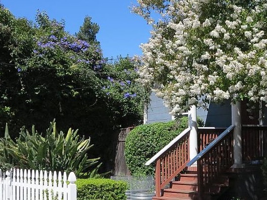 A tight crop of the wooden front steps of 310 Oak Ave with the white picket fence and crepe myrtle blossoms framing the entry